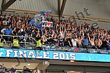 14.04.2015 - Adler Mannheim - ERC Ingolstadt