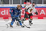 Eishockey, Frauen, DFEL, Saison 2024-2025, ERC Ingolstadt - EC Bergkamener Bären, 05.01.2025