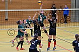 Volleyball, Frauen, Bezirksklasse 1, Saison 2024-2025, Spiel 46, VfB Eichstätt - DJK Titting, 14.12.2024