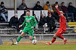 Fußball, Herren, Bayernliga Nord, Saison 2024-2025, Spieltag 25, VfB Eichstätt - ASV Neumarkt, 15.03.2025