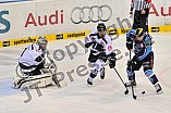 05.01.2014 - ERC Ingolstadt - Thomas Sabo Ice Tigers