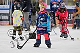 Eishockey, Saison 2025-2026, ERC Ingolstadt - Kids On Ice Day, 10.01.2026