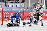 Eishockey, Herren, DEL, Saison 2023-2024, Spieltag 35, ERC Ingolstadt - Augsburger Panther, 05.01.2024
