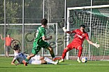 Fußball, Herren, Bayernliga Nord, Saison 2024-2025, Spieltag 5, VfB Eichstätt - SC Eltersdorf, 09.08.2024