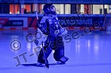 Eishockey, Herren, DEL, Saison 2025-2026, Spiel 43, ERC Ingolstadt - Schwenninger Wild Wings, 25.01.2026