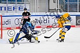 Eishockey, Frauen, DFEL, Saison 2025-2026, Testspiel, ERC Ingolstadt - HC Davos, 14.02.2026