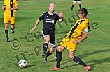 03.09.2016 - DJK Pollenfeld - TSV Meckenhausen