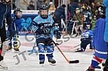 Eishockey, Herren, DEL, Saison 2023-2024, ERC Ingolstadt - Kids on Ice Day, 18.11.2023
