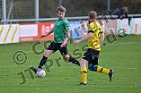 Fußball, Herren, Bezirksliga Mittelfranken Süd, Saison 2023-2024, Spieltag 17, TSV Greding - TSV Meckenhausen, 29.10.2023