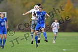 Fußball, Herren, Kreisliga Neumarkt Jura West, Saison 2023-2024, Spieltag 11, SV Marienstein - SV Alesheim, 22.10.2023