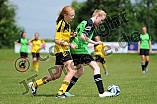13.06.2015 - JFG Region Eichstätt - DJK Laibstadt