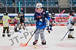 Eishockey, Saison 2025-2026, ERC Ingolstadt - Kids On Ice Day, 10.01.2026
