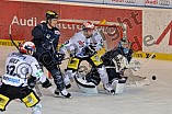 ERC Ingolstadt vs Schwenninger Wild Wings, Eishockey, DEL, Deutsche Eishockey Liga, 22.01.2016