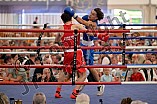 Boxen, Herren, Länderkampf, LV Hessen - LV Bayern, 31.08.2025