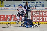 ERC Ingolstadt vs Adler Mannheim, Eishockey, DEL, Deutsche Eishockey Liga, 24.02.2016