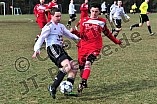 17.03.2013 - DJK Limes 09 - SV Marienstein