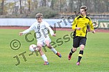 17.11.2013 - DJK Ingolstadt - SV Wettstetten