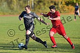 Fußball, Herren, A-Klasse, Neumarkt, Jura, Saison 2021-2022, Spieltag 14, FC Türk Gücü Eichstätt - SG DJK Schernfeld-Workerszell, 31.10.2021