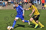 26.03.2015 - DJK Pollenfeld - SpVgg Roth