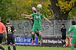 Fußball, Herren, Bayernliga Nord, Saison 2023-2024, Spieltag 19, VfB Eichstätt - SV Donaustauf, 28.10.2023