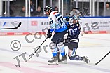 Eishockey, Herren, DEL, Saison 2024-2025, Vorbereitung, ERC Ingolstadt - Dresdner Eislöwen, 18.08.2024