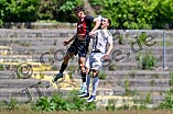 Fußball, Herren, Bayernliga Nord, Saison 2024-2025, Spieltag 33, FC Ingolstadt 04 II - SpVgg Bayern Hof, 10.05.2025