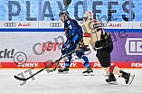 Eishockey, Herren, DEL, Saison 2024-2025, Playoffs Viertelfinale, Spiel 1, ERC Ingolstadt - Nürnberg Ice Tigers, 16.03.2025