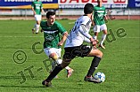 29.10.2016 - VfB Eichstätt - SV Erlenbach-Main