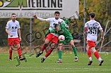 Fußball, Herren, Bayernliga Nord, Saison 2023-2024, Spieltag 20, VfB Eichstätt - ASV Cham, 04.11.2023