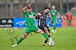Fußball, Herren, Bayernliga Nord, Saison 2024-2025, Spieltag 27, VfB Eichstätt - DJK Gebenbach, 29.03.2025