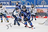 Eishockey, Herren, DEL, Saison 2024-2025, Spieltag 26, ERC Ingolstadt - Iserlohn Roosters, 15.12.2024