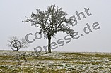 Erster Schnee im Altmühltal am 03.12.2022