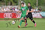 Fußball, Herren, Bayernliga Nord, Saison 2023-2024, Spieltag 6, VfB Eichstätt - SpVgg Hankofen-Hailing, 15.08.2023