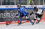 Eishockey, Frauen, DFEL, Saison 2023-2024, ERC Ingolstadt - Amsterdam Tigers, 06.01.2024