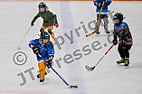 Eishockey, Herren, DEL, Saison 2024-2025, ERC Ingolstadt - Kids On Ice Day, 11.01.2025