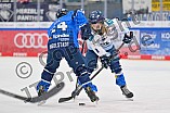 Eishockey, Herren, DEL, Saison 2024-2025, Spieltag 45, ERC Ingolstadt - Iserlohn Roosters, 16.02.2025