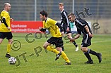 Fußball, Herren, Kreisliga West, Saison 2021-2022, Spieltag 16, DJK Pollenfeld - SV Cronheim, 14.11.2021