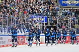 Eishockey, Herren, DEL, Saison 2024-2025, Spieltag 6, ERC Ingolstadt - Düsseldorfer EG, 04.10.2024