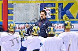 ERC Ingolstadt, Eishockey, DEL, Deutsche Eishockey Liga, 10.11.2017