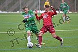 Fußball, Herren, Regionalliga Bayern, Saison 2021-2022, Testspiel, VfB Eichstätt - ASV Neumarkt, 29.01.2021