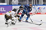 Eishockey, Frauen, DFEL, Vorbereitung, Saison 202-2025, ERC Ingolstadt - St. Pölten, 07.09.2024