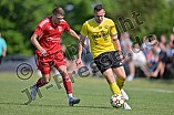 Fußball, Herren, Neumarkt Jura, Kreisliga West, Saison 2022-2023, Spieltag 26, DJK Limes - DJK Pollenfeld, 11.06.2023