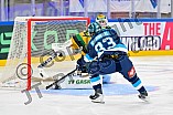 Hockey, Mens, CHL, Season 2025-2026, Regular Season, Game Day 1, ERC Ingolstadt - Ilves Tampere, 28.08.2025