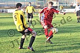 14.11.2010 - SV Eitensheim / DJK Eichstätt