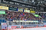 Eishockey, Herren, DEL, Saison 2024-2025, Playoffs Viertelfinale, Spiel 3, ERC Ingolstadt - Nürnberg Ice Tigers, 21.03.2025
