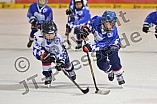 ERC Ingolstadt vs Straubing Tigers, Eishockey, DEL, Deutsche Eishockey Liga, 22.12.2015