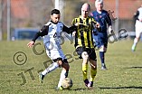 31.03.2018 - DJK Pollenfeld - TSV Röttenbach