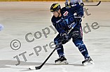 ERC Ingolstadt vs Hamburg Freezers, Eishockey, DEL, Deutsche Eishockey Liga, 10.01.2016