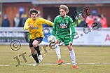 02.03.2019 - VfB Eichstätt - SpVgg Bayreuth