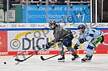 Eishockey, Herren, DEL, Saison 2023-2024, Spieltag 30, ERC Ingolstadt - Straubing Tigers, 23.12.2023